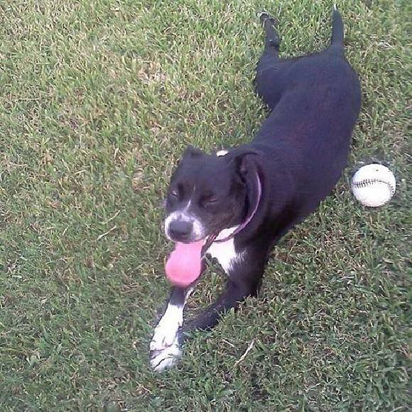 Meet your Posher, Chris - Picture 1 of 1